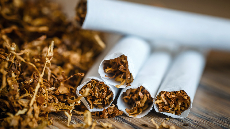 accidentally smoked cigarette filter Why is the EU thinking of banning cigarette filters?