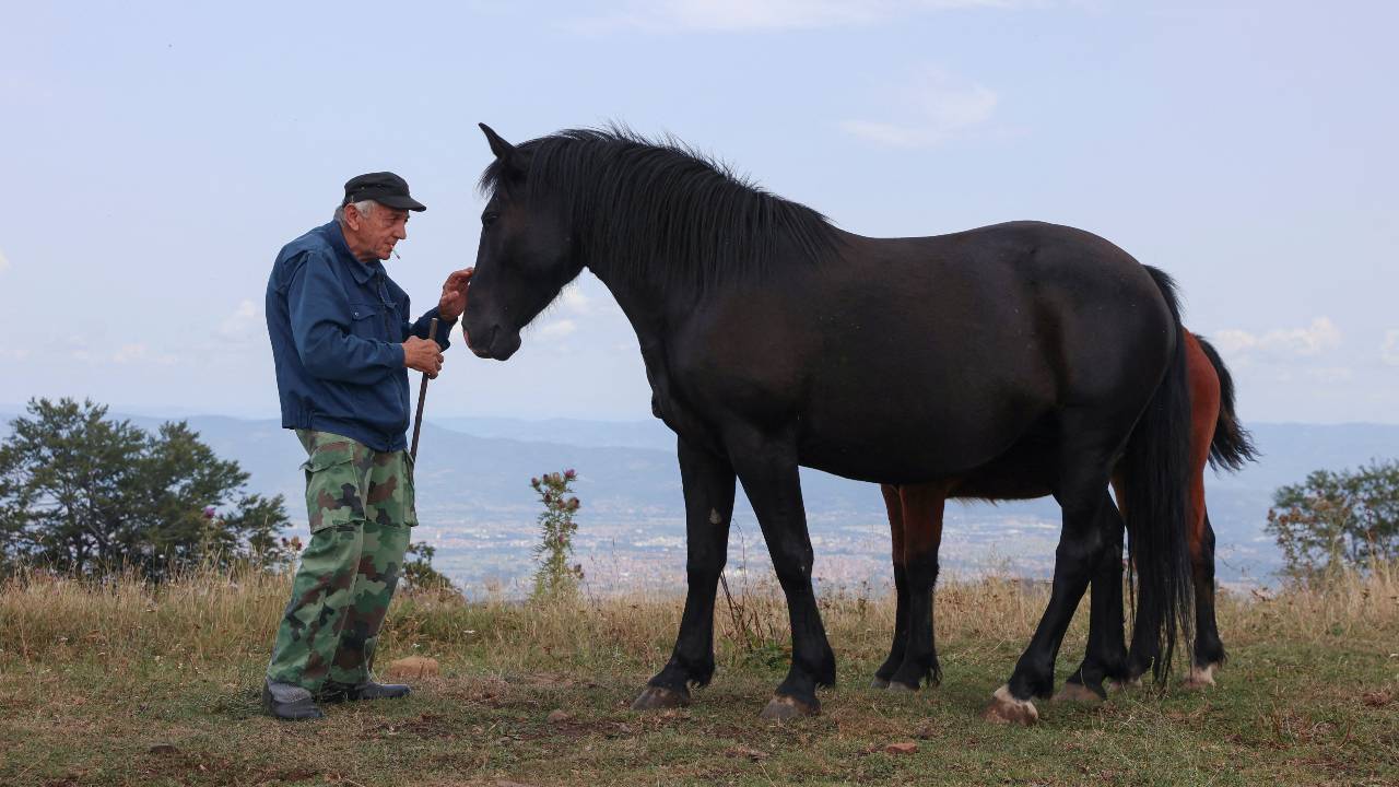 Local farmer Slavoljub Nikolic says humans no longer need the horses for work. /Zorana Jevtic/Reuters 