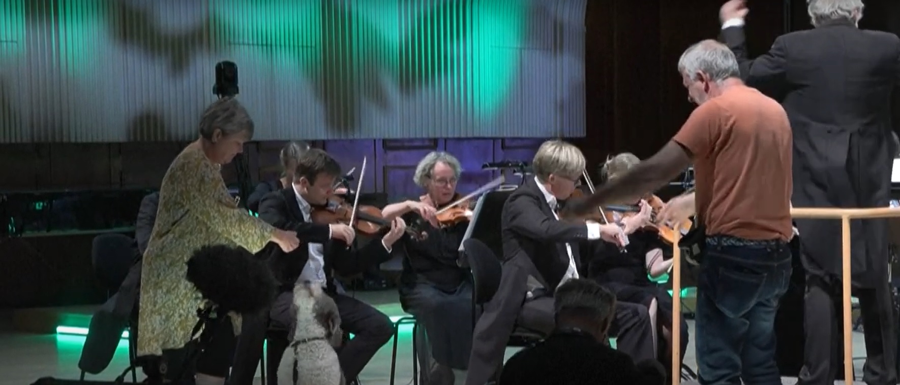 In Denmark, an orchestra comprised of humans and dogs perform 'Hunting Symphony.' The dogs were selected at an audition last spring after impressing with their barking skills. /AFP.