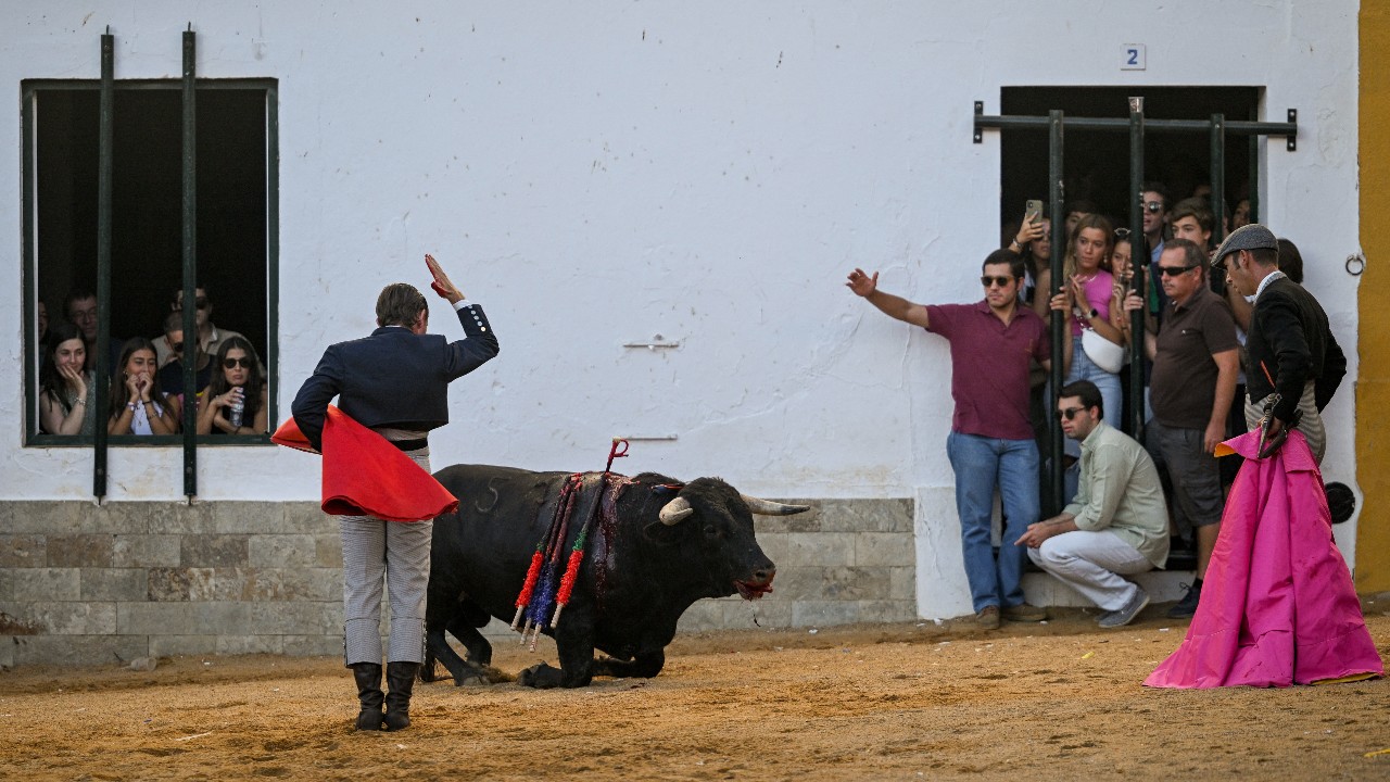 Portuguese matador Nuno Casquinha reacts to killing a bull during a bullfight at a temporary bullring in Barrancos. /Patricia De Melo Moreira/AFP
