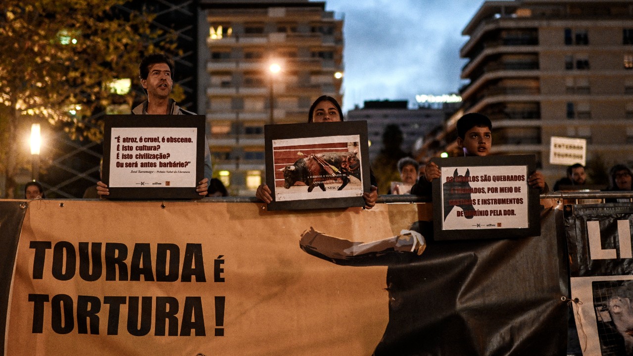 Animal rights activists hold a banner reading 'Bullfighting is torture' during an anti-bullfighting protest outside a bullring in Lisbon. /Patricia De Melo Moreira/AFP