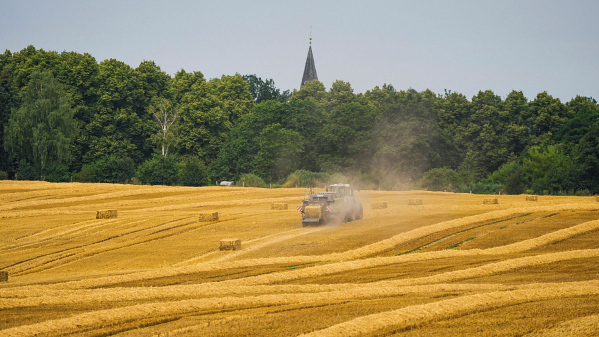 The issue of Ukrainian grain imports has caused a strain with farmers in various European countries. /Soeren Stache/picture-alliance/dpa/AP Images