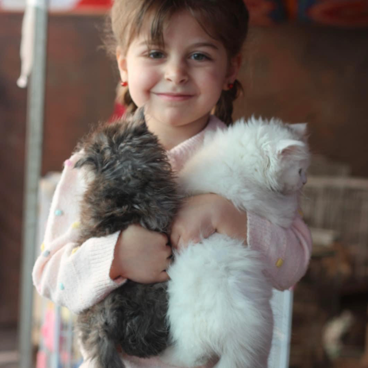 The children of Gaza take comfort in the animals. /Sulala Society for Animal Care