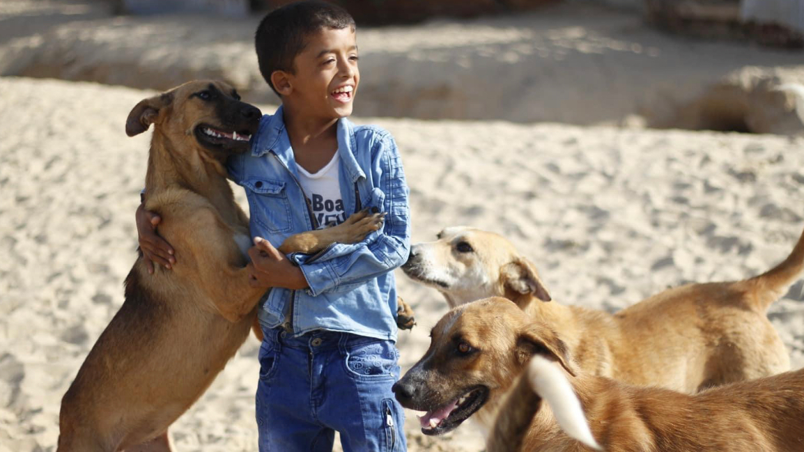 An autistic boy gets comfort playing with the dogs before the war. /Sulala Society for Animal Care