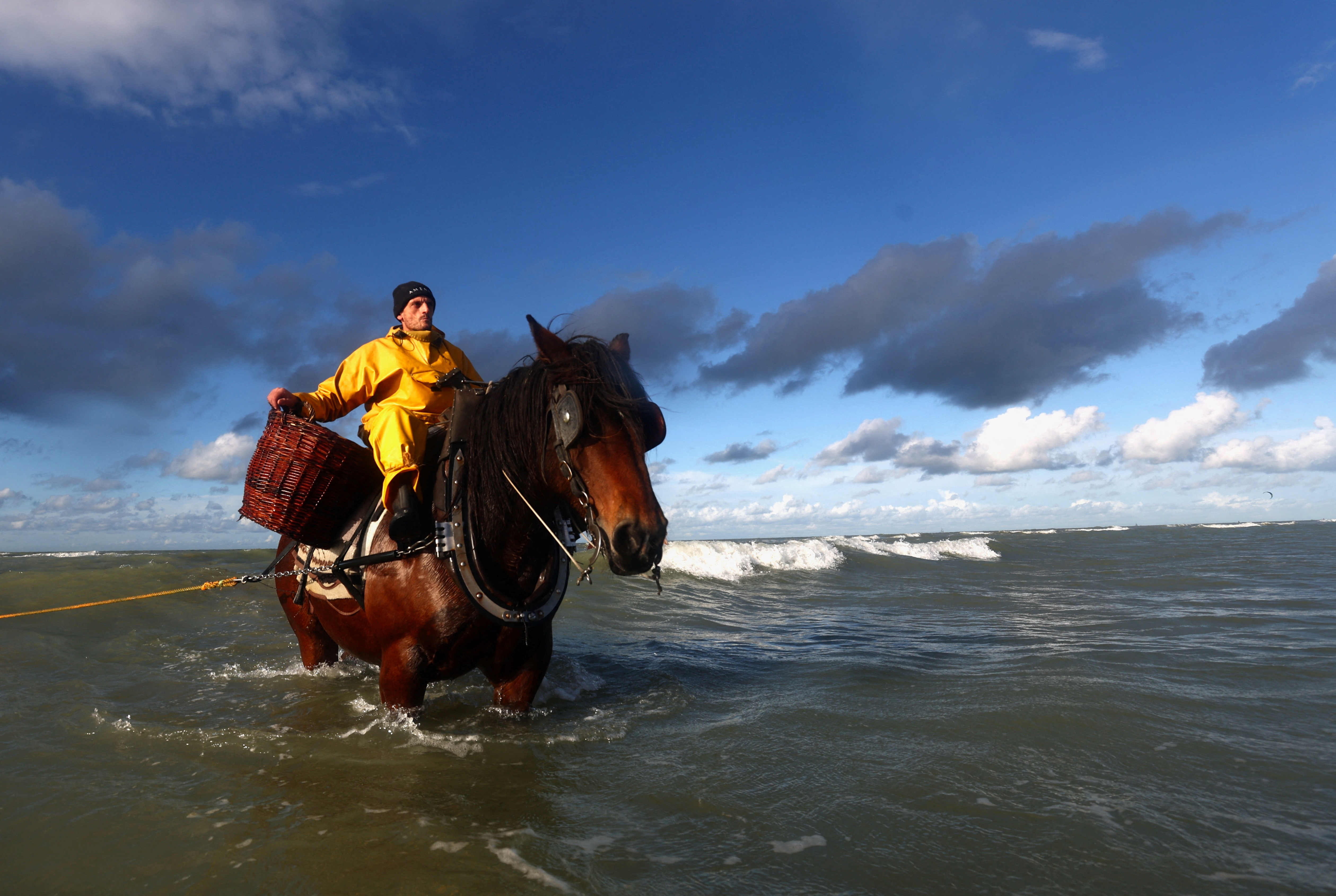 The coastal village of Oostduinkerke in Belgium is the last place in the world where horseback shrimp fishing is still practiced. /Yves Herman/Reuters