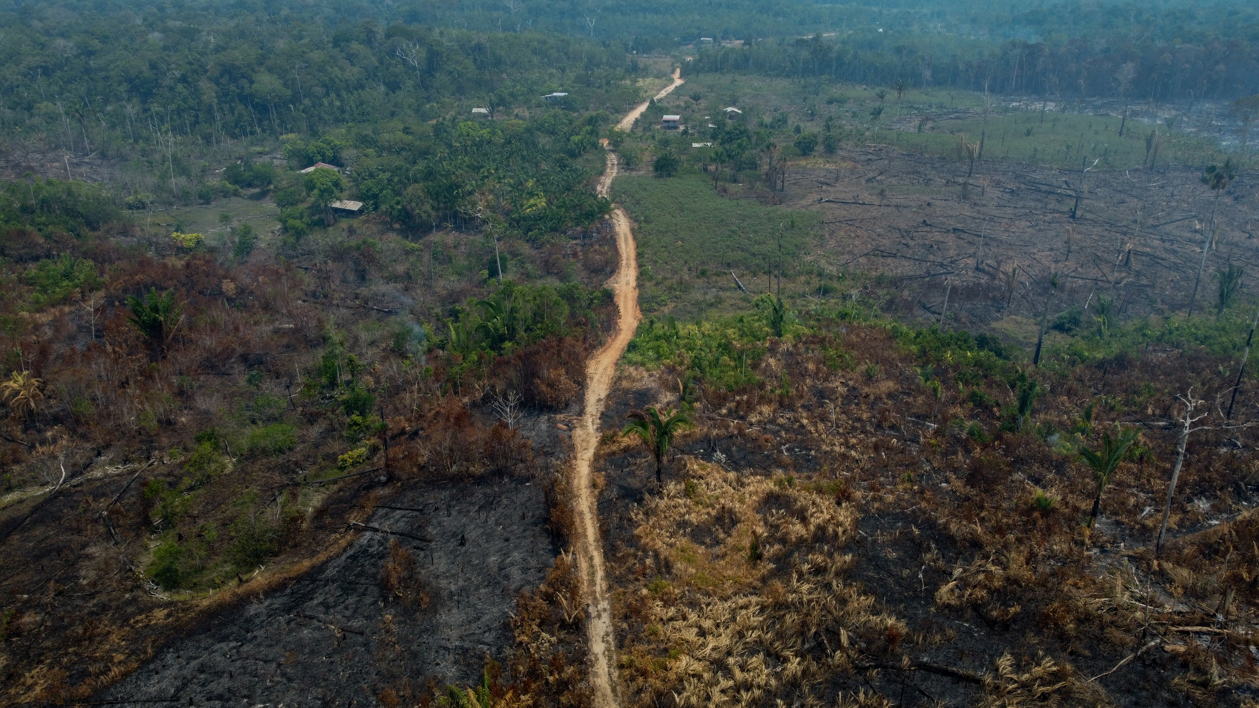 Trees that have been burnt down in Manaquiri, Amazonas state, Brazil. /Michael Dantas/AFP