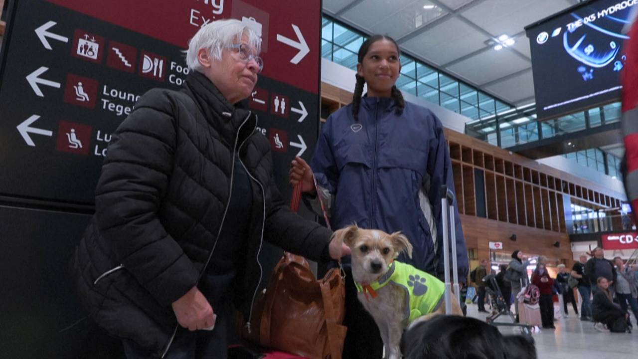 Those who've met the dogs say the animals have calmed their nerves ahead of their flights. /AFP
