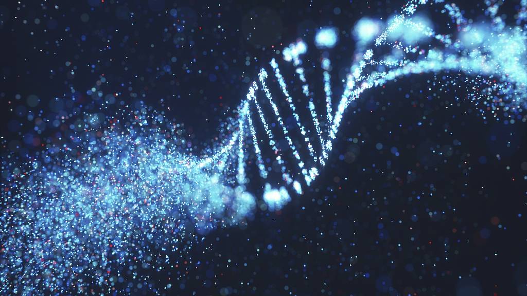 The UK Biobank has made its data on the genes of some 500,000 participants available to scientists for analysis, a move that could revolutionize biomedical science as we know it. /Science Photo Library/Getty Creative/CFP