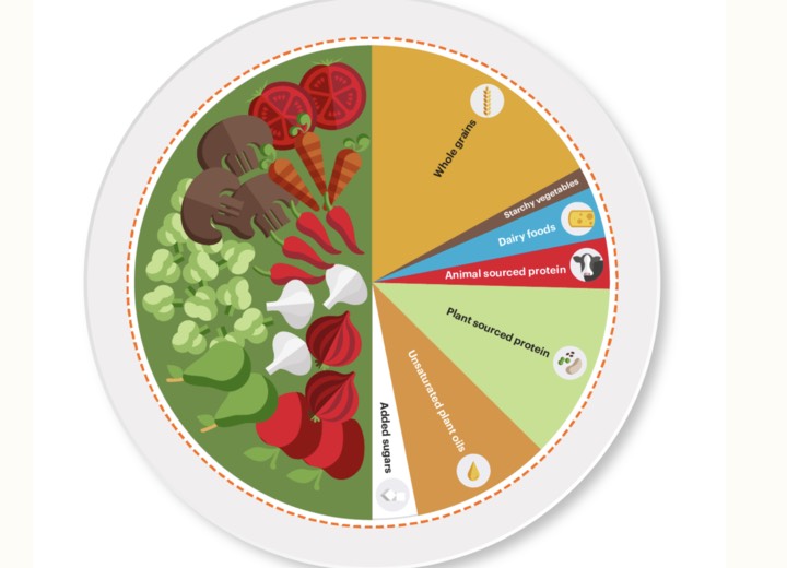 The EAT-Lancet planetary health diet includes scientific targets for what constitutes both a healthy diet and a sustainable food system. /EAT forum