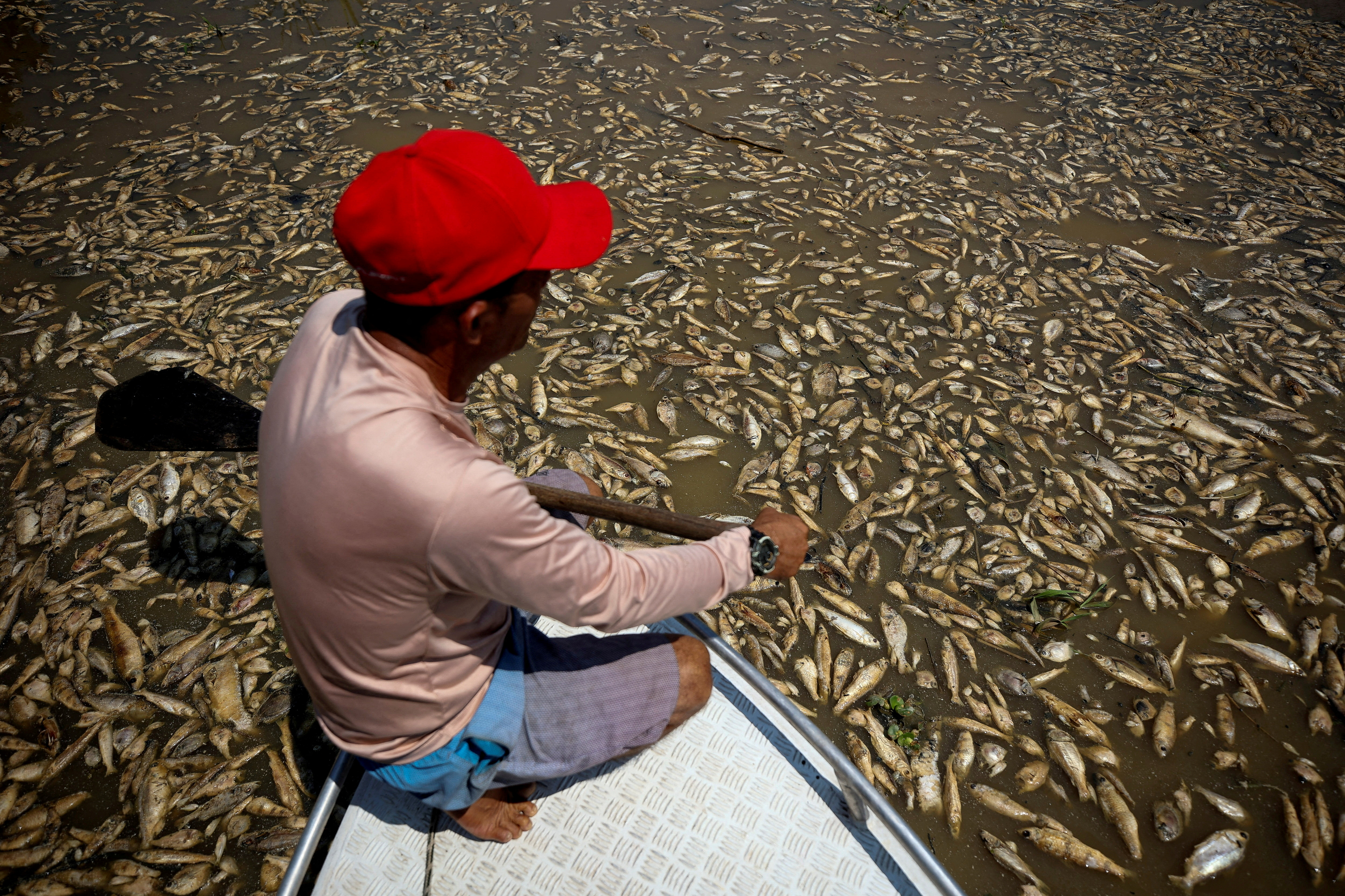 A fisherman paddles through a river of dead fish. /Reuters