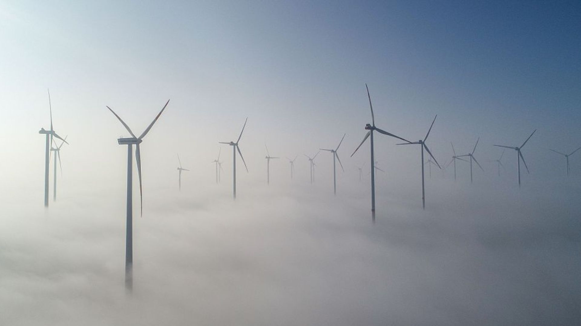 The future of wind power generated at plants like this one in Jacobsdorf remain foggy. /Patrick Pleulclose/dpa