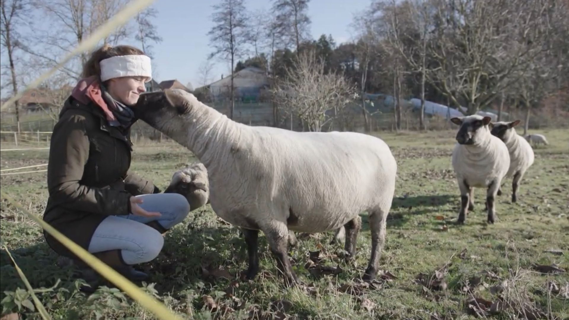 'Transfarmer' Fabienne tends to her sheep. /CGTN