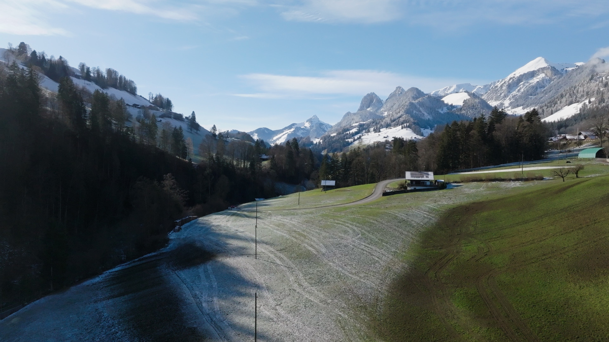 Green politician Brigitte Wolf has argued that solar panels will ruin Switzerland's 