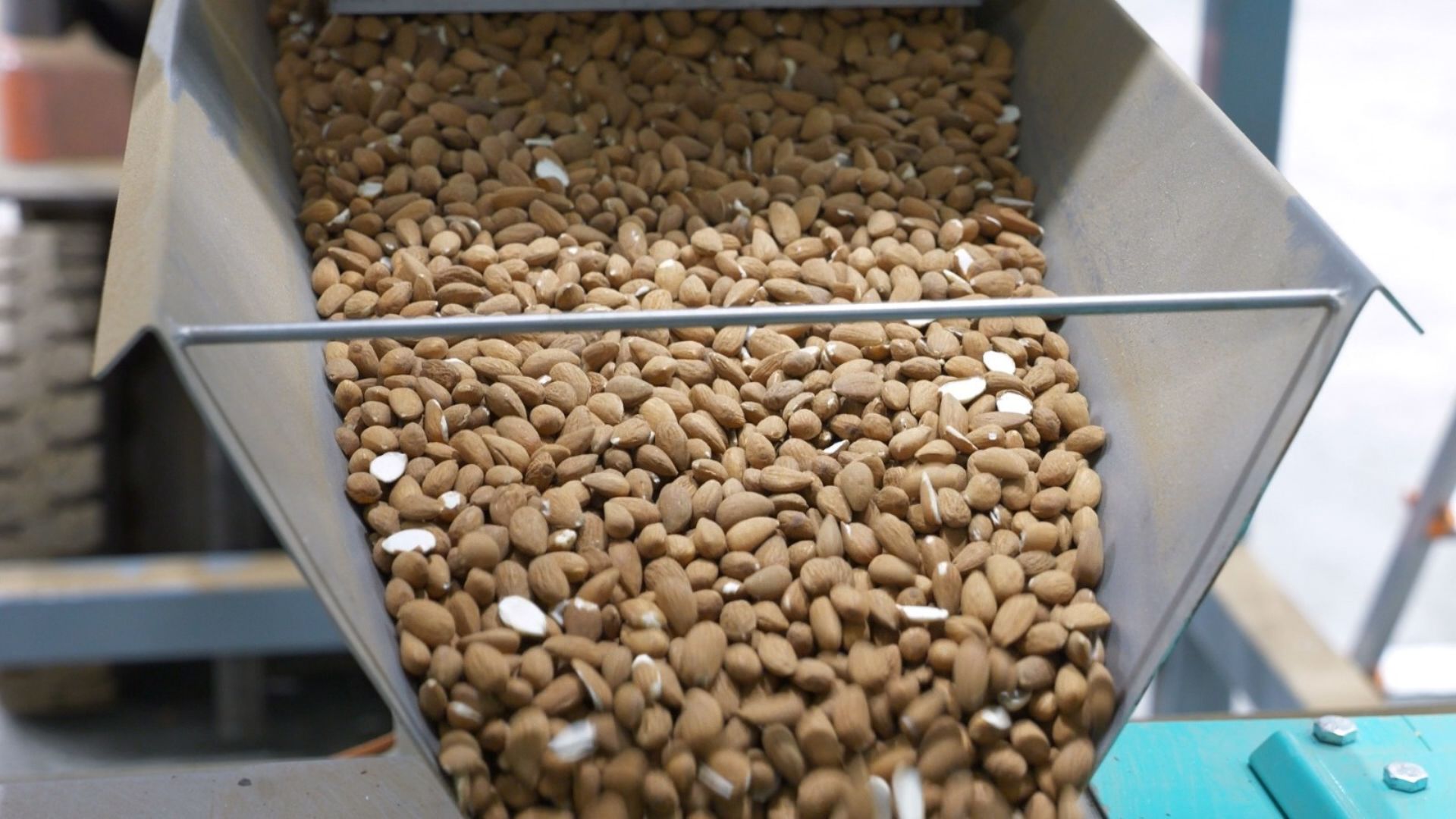 Almonds being processed at the DCoop plant in Villarrubia. /Ken Brwone/CGTN 