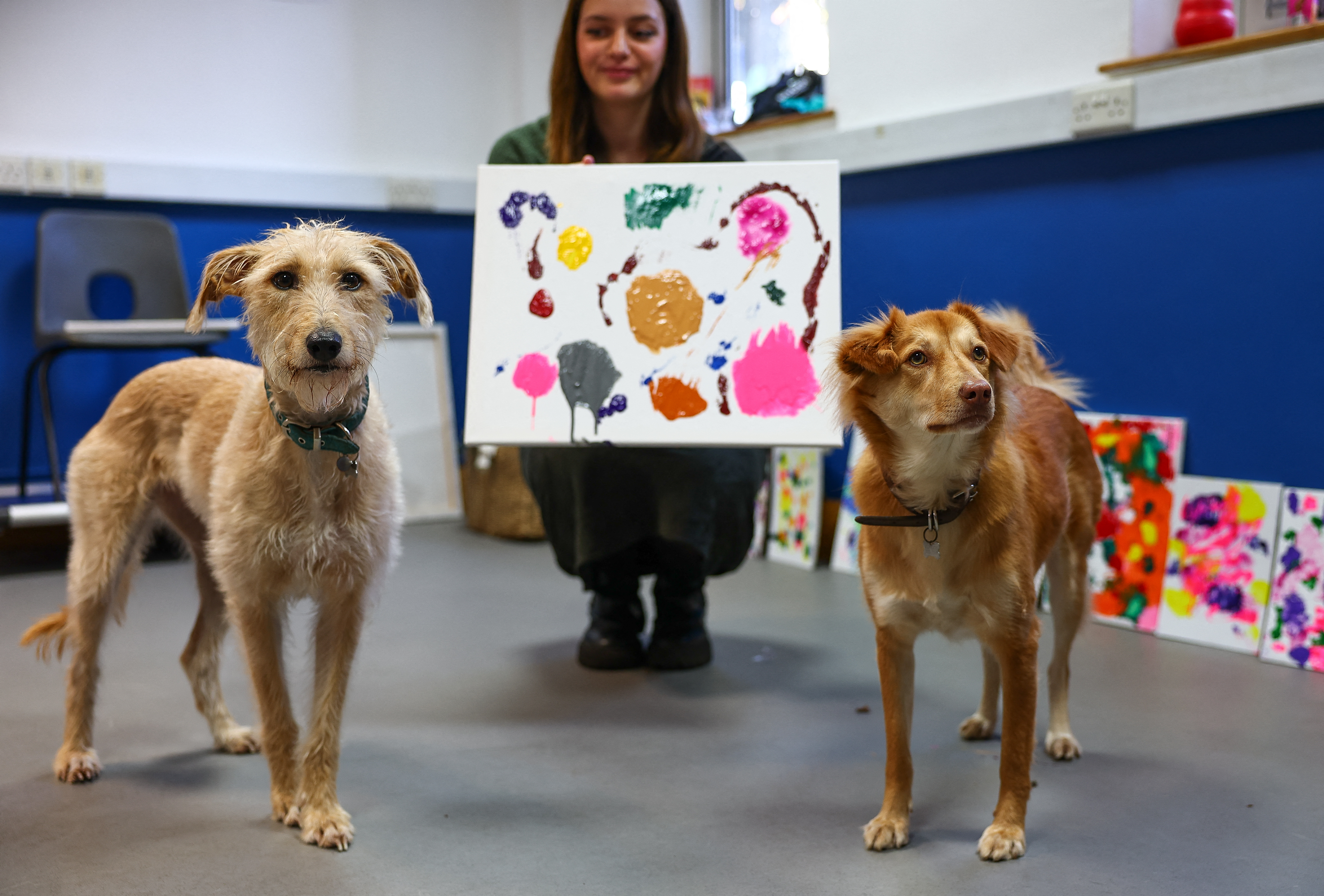 The number of stray dogs in the UK has surged - but for Rosie and Alba, art therapy is helping them to adapt to life at a rescue center. /Henry Nicholls/AFP
