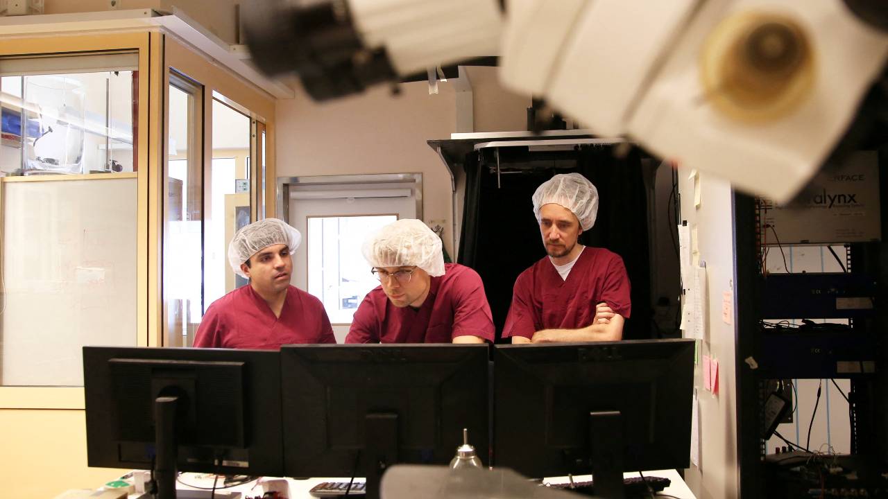 Researchers from the Integrative Neurophysiology group at Lund University work on a computer in a laboratory in Lund. /Tom Little/Reuters