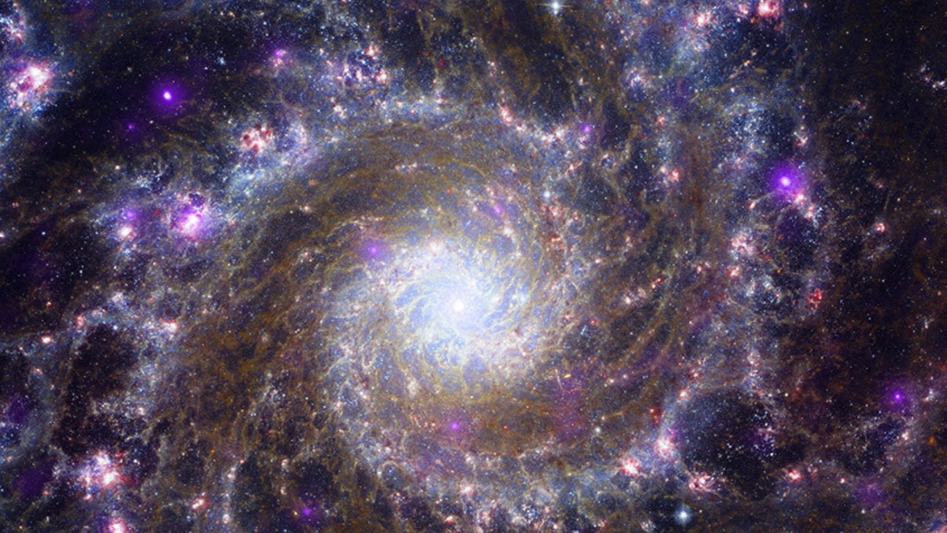 An image of a spiral galaxy like our own Milky Way, known as Messier 74, is seen in a composite image taken by the James Webb Telescope this year. /NASA/ESA/Handout via Reuters
