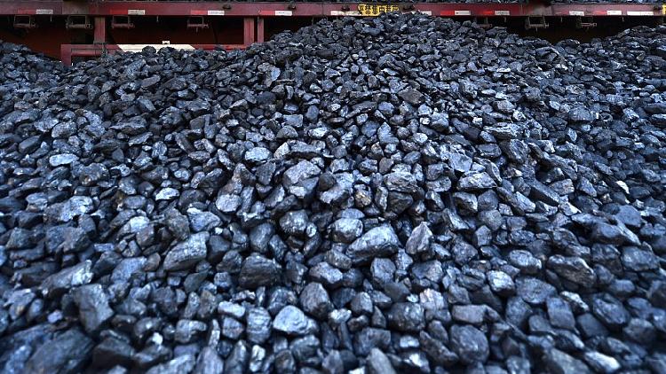 China produces protein for animal feed from coal-derived methanol - CGTN