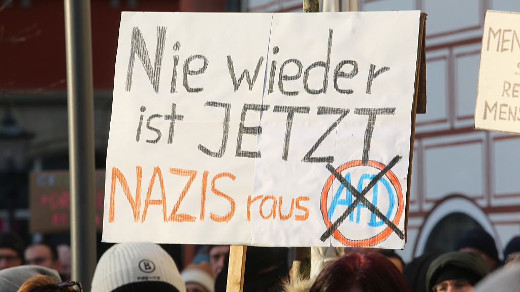 Protesters in Germany carry signs opposing the AFD Party /Liam Cleary/SOPA /Getty via VFP