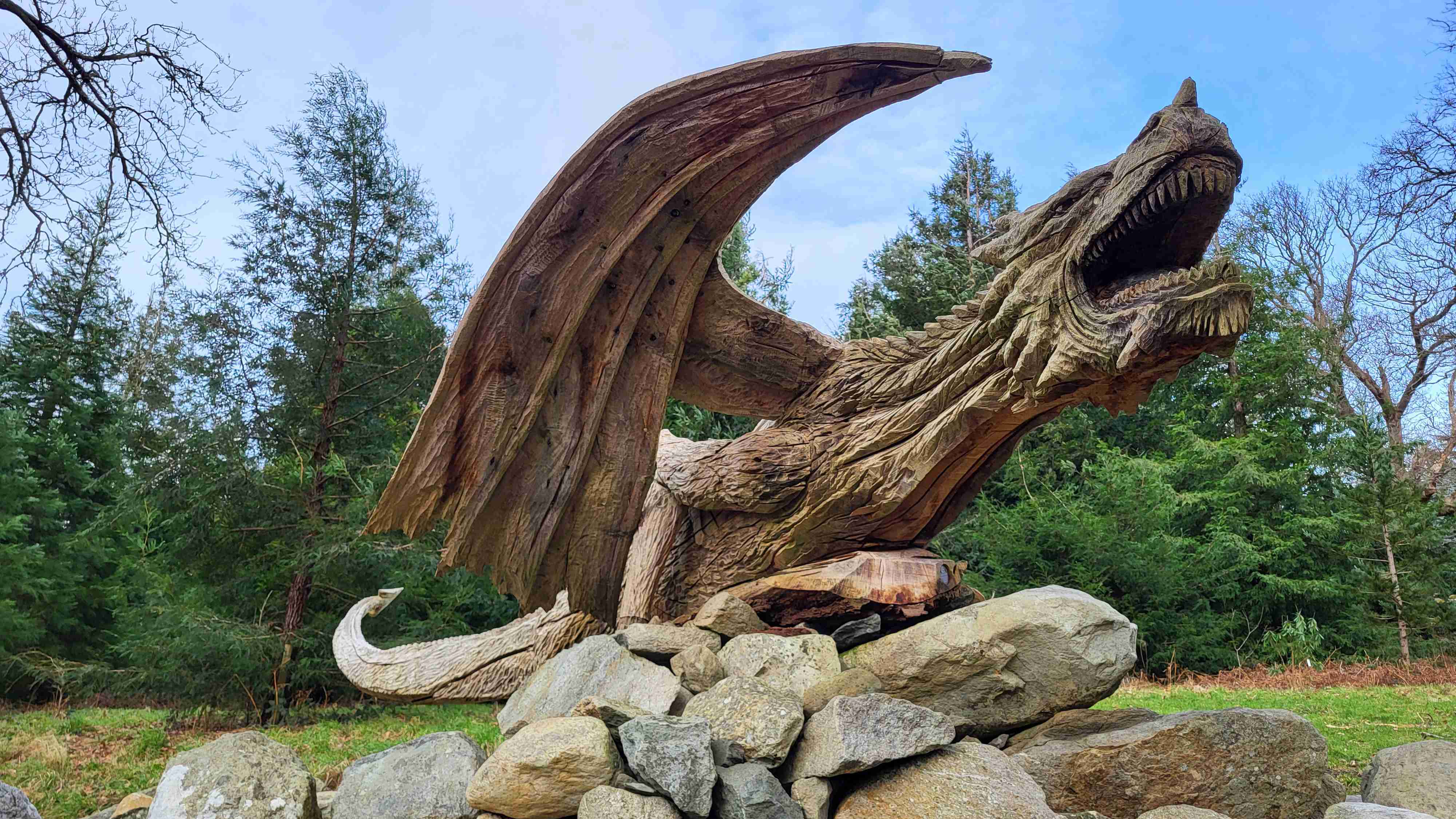 A wooden dragon carved from a fallen oak tree at Tregarth, near Bethesda North Wales. /Keith Withers for CGTN Europe