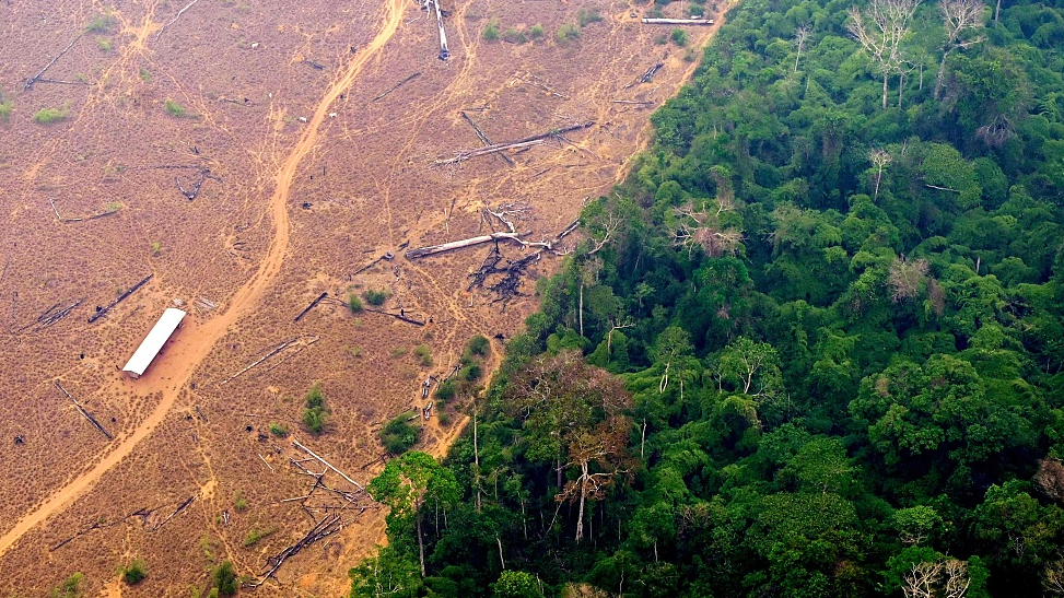 Agricultural development has ravaged the Amazon rainforest in Brazil affecting thousands of animal species. /Douglas Magno/CFP