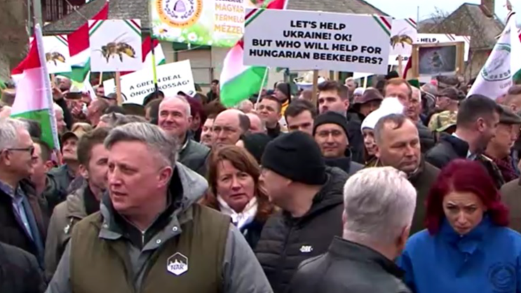 Farmers in Hungary have organized protests against duty-free Ukrainian agricultural imports. /Reuters