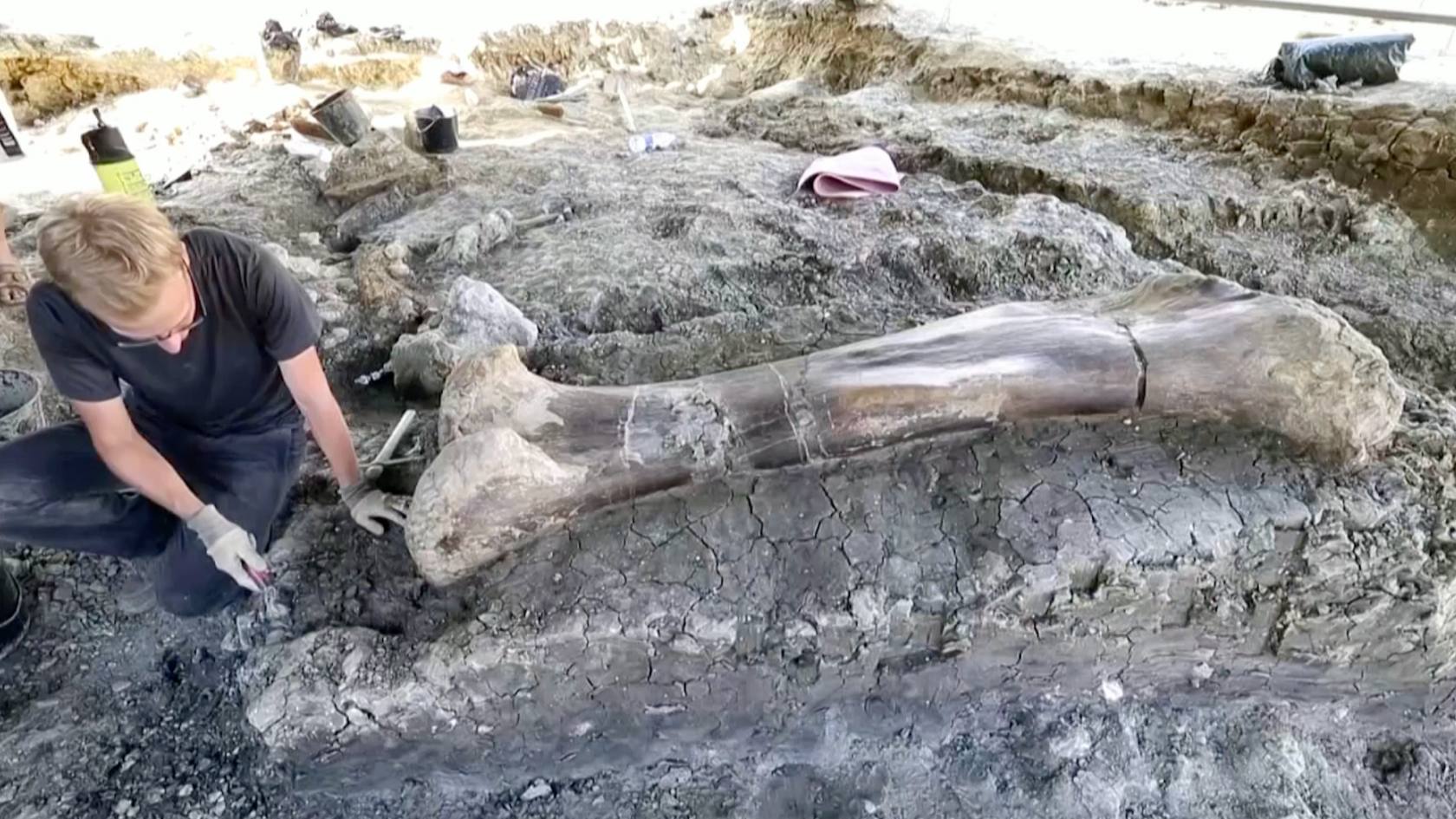 Paleontologists scrape and clean a plesiosaur fossil. /Reuters