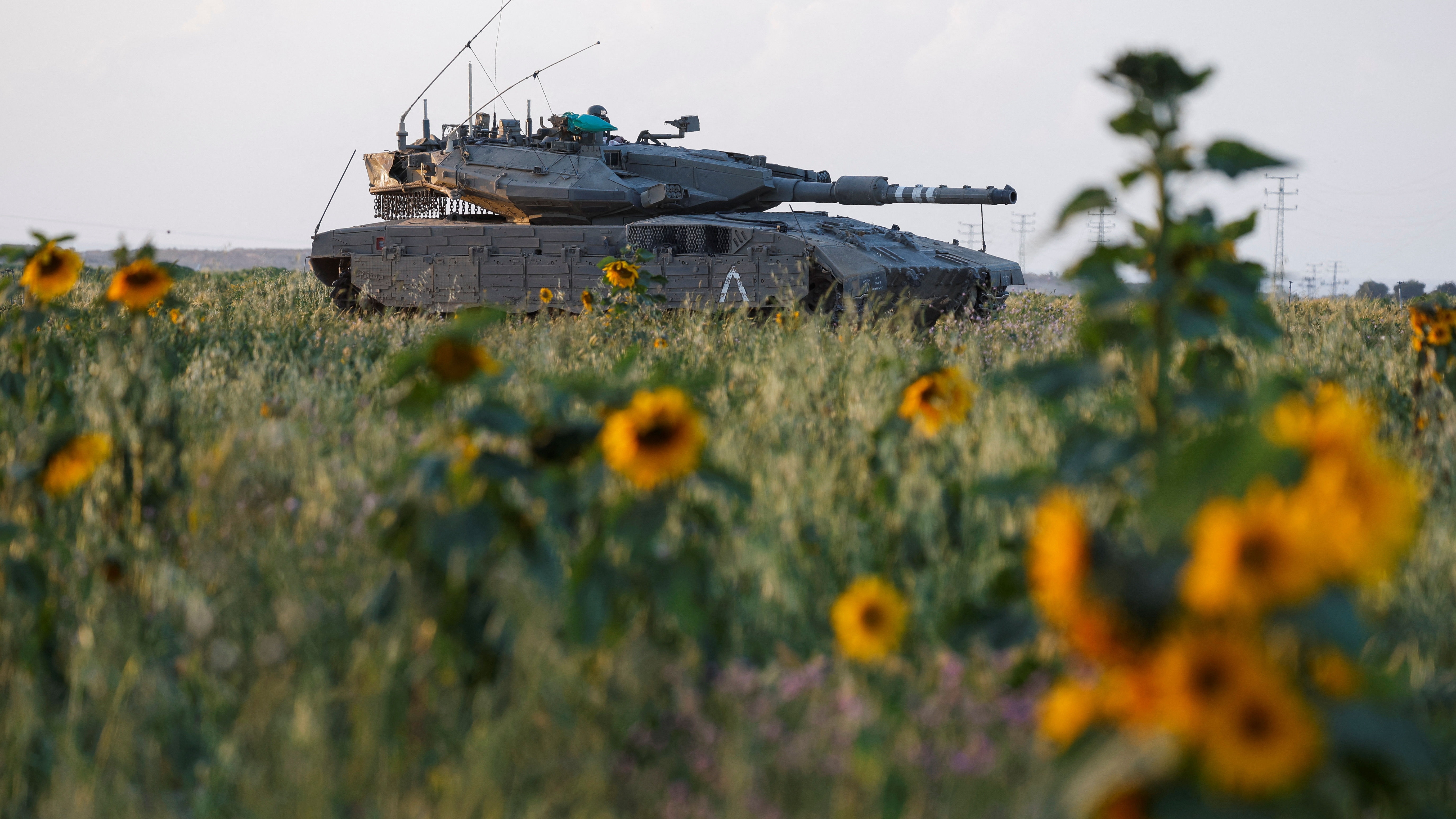 An IDF tank takes up position in a sunflower field near the Gaza border /Amir Cohen/Reuters
