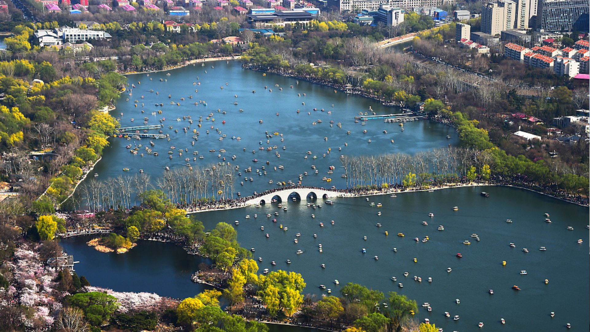 Many European visitors enjoy attending the Beijing Yuyuantan Park Cherry Blossom Festival, seen here in 2019. /CFP/File