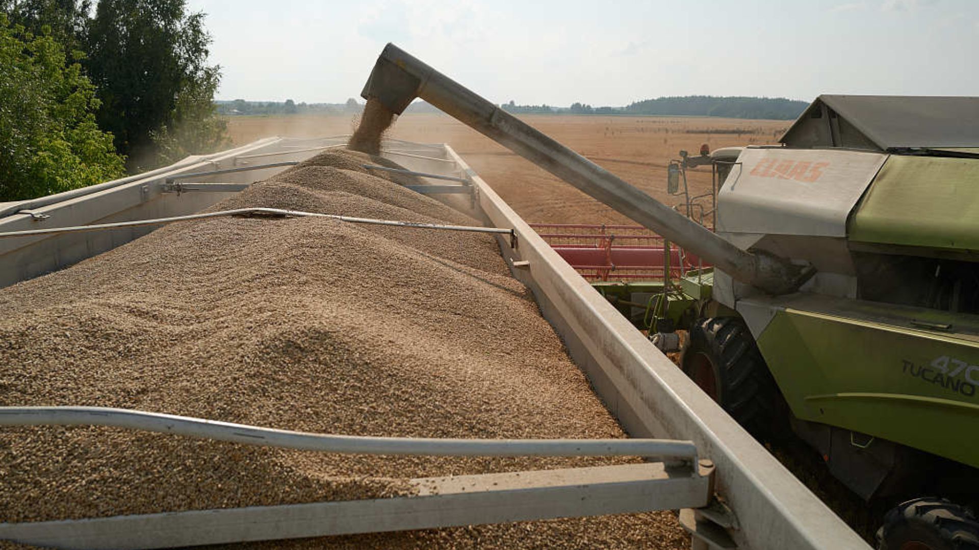 EU farmers claims cheap grain imports from Ukraine are undercutting them. /Pierre Crom/Getty Images