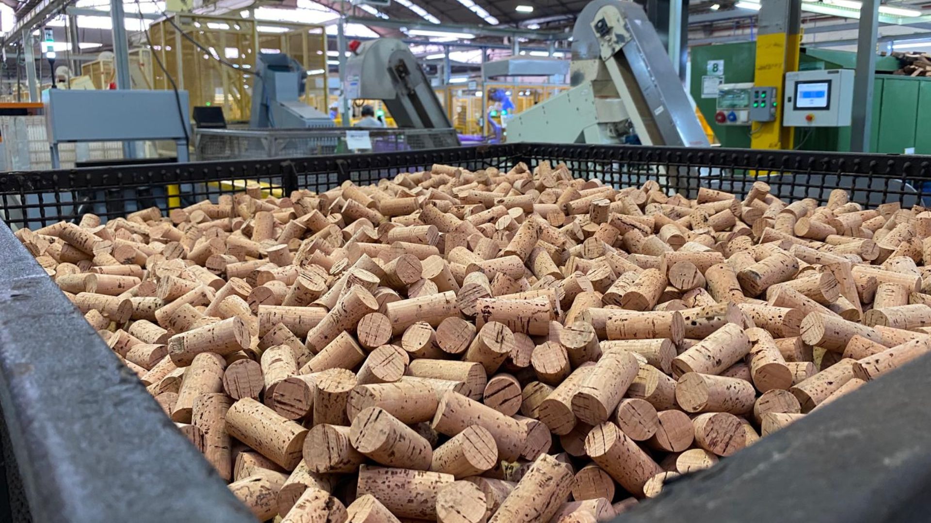 Wine corks made at the Amorim factory. /Ken Browne/CGTN