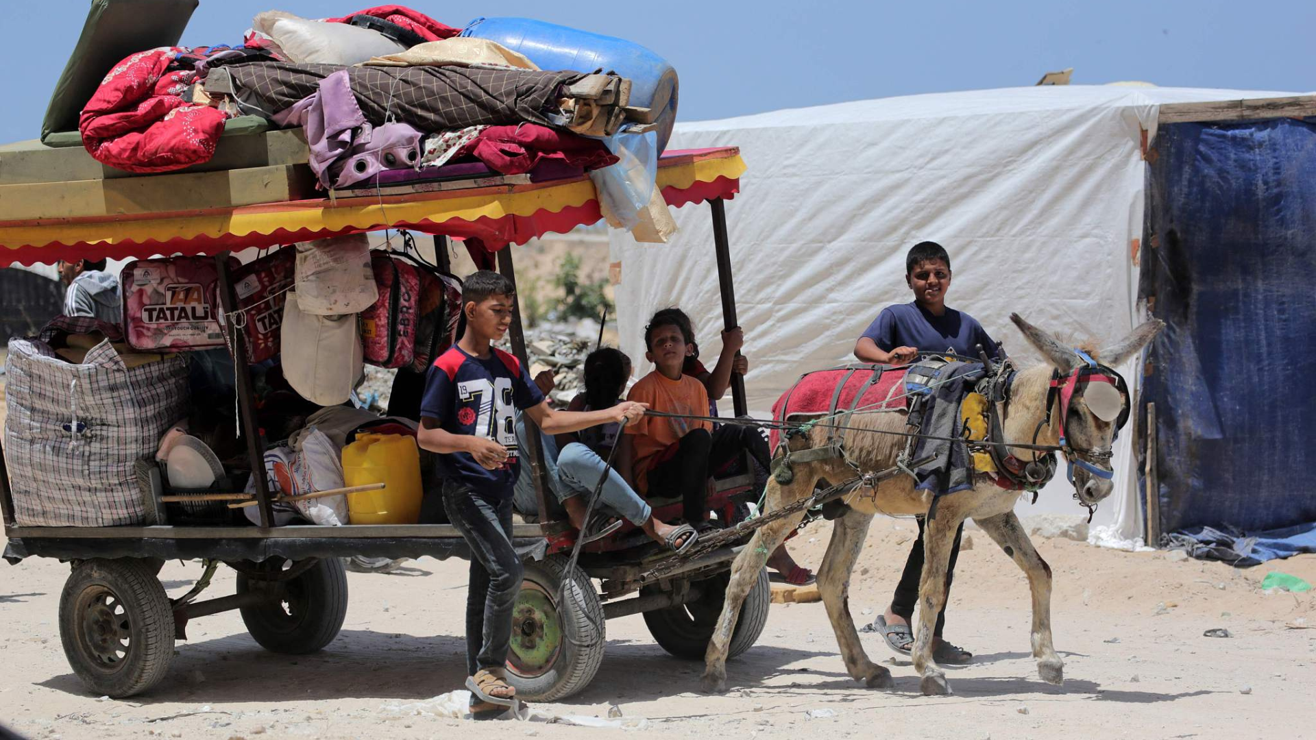 Palestinian children who fled Rafah transport their family's belongings in the back of a donkey-pulled cart as they arrive to take shelter. /CFP