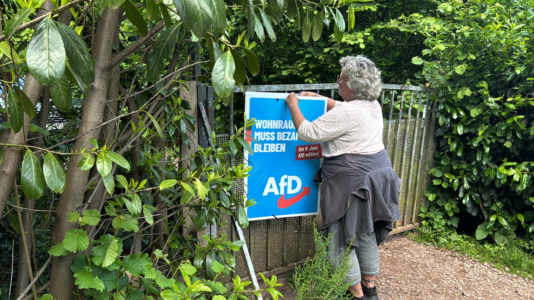 Germany's AfD party got just shy of 16 percent of the German votes in the European parliamentary elections. /CGTN Europe