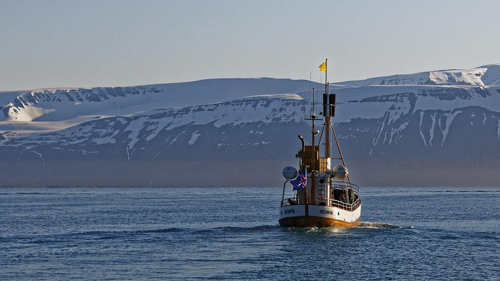 There is only one whaling company left in Iceland. /J. Moebes Claudino/Image Broker/CFP