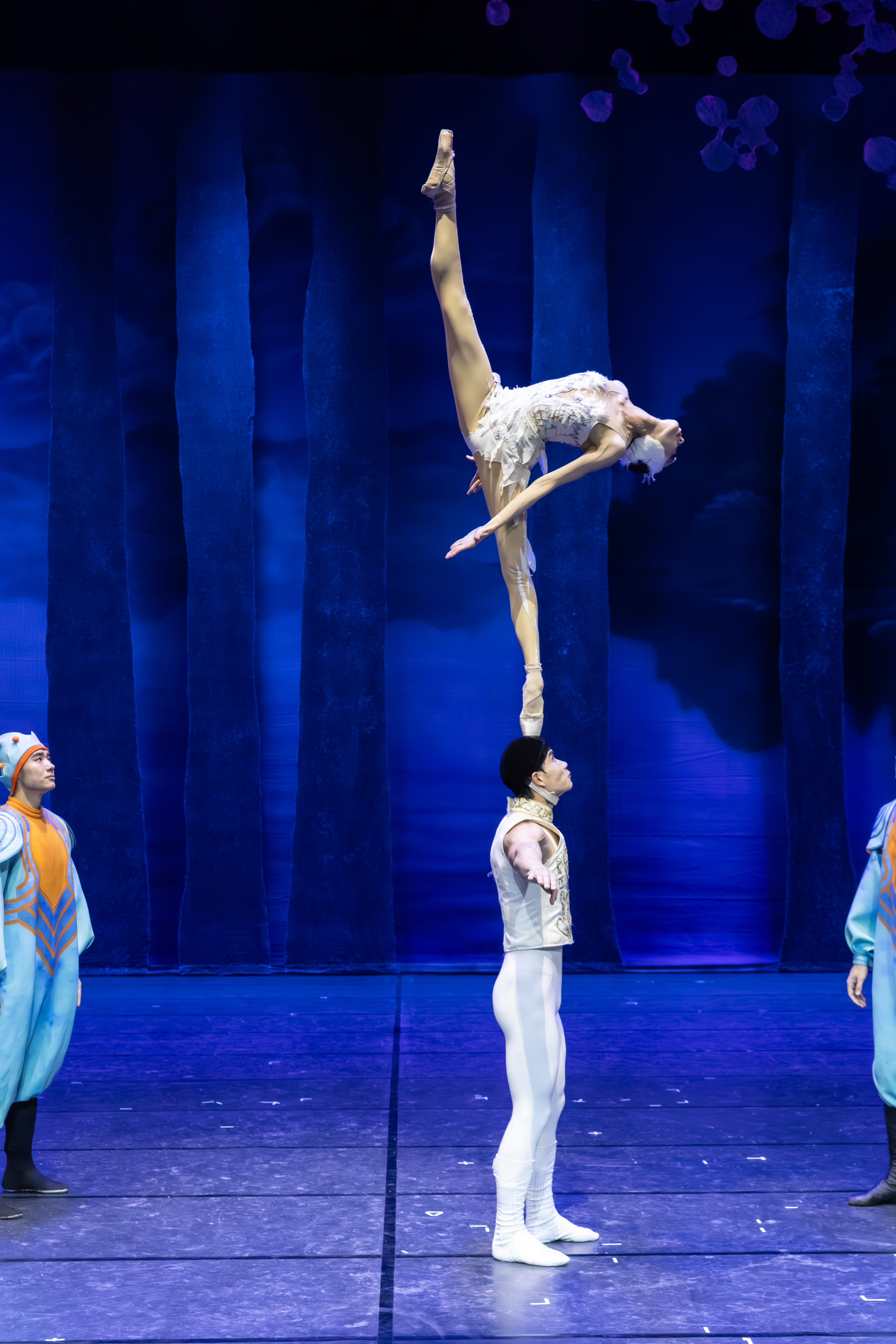 The finale 'Ballet on head' during Acrobatic Swan Lake performance. /Xi'an Acrobatic Troope
