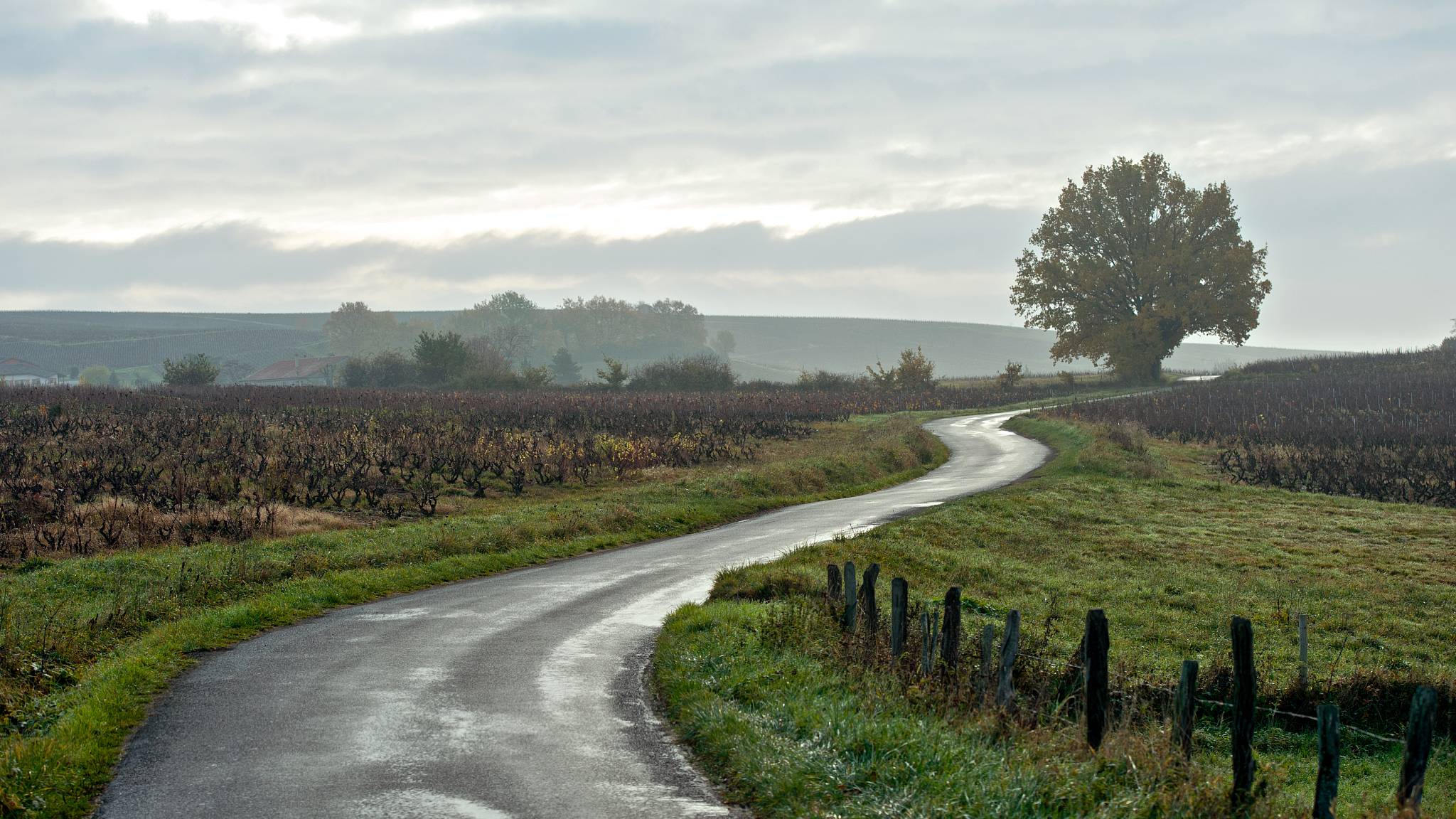 Some say the EU Green Deal will protect European farmers, but French agriculture workers say there's too much competition from outside the country. /Marko Heuver/Getty Creative/CFP