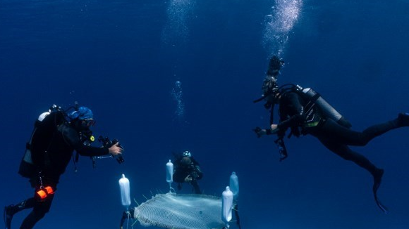 Marine biologists install floating coral nurseries off the coast of Capo Greko in the eastern part of the Mediterranean island of Cyprus. /Emily Irving-Swift/AFP