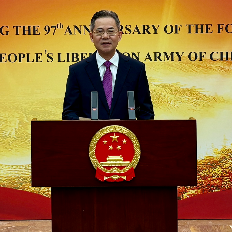 Chinese ambassador hails national rejuvenation on army anniversary - CGTN