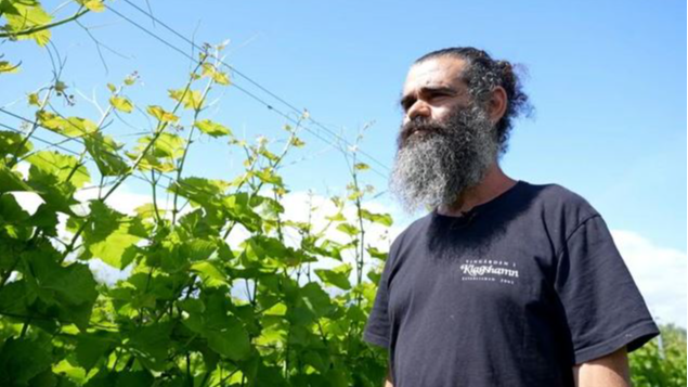 Long-time winegrower Murat Sofrakis is a champion of Swedish vineyards. /Olivier Feniet/AFP