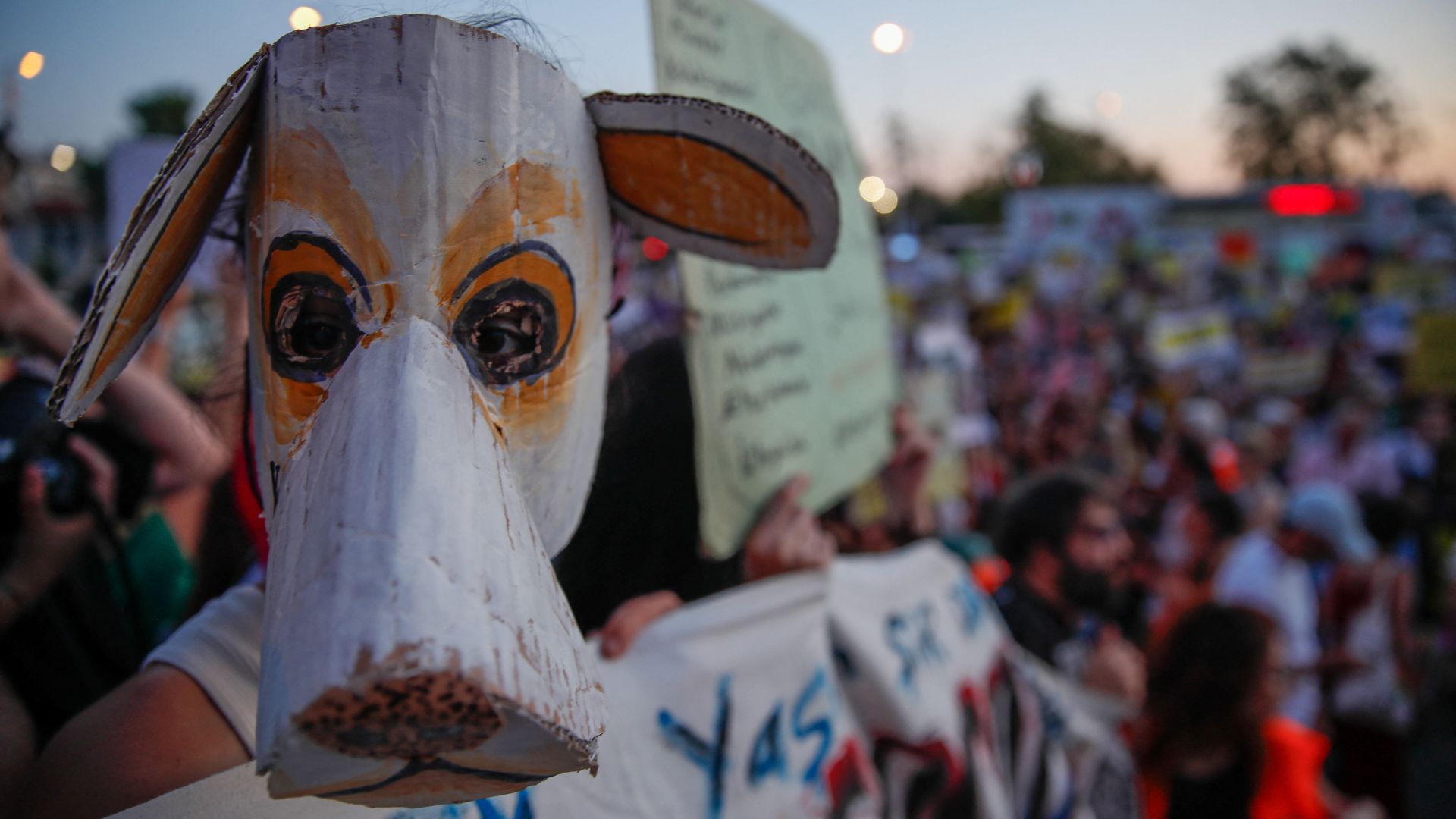 A protest in Istanbul last weekend against the bill that aims to remove stray dogs from the country's streets. /Dilara Senkaya/Reuters