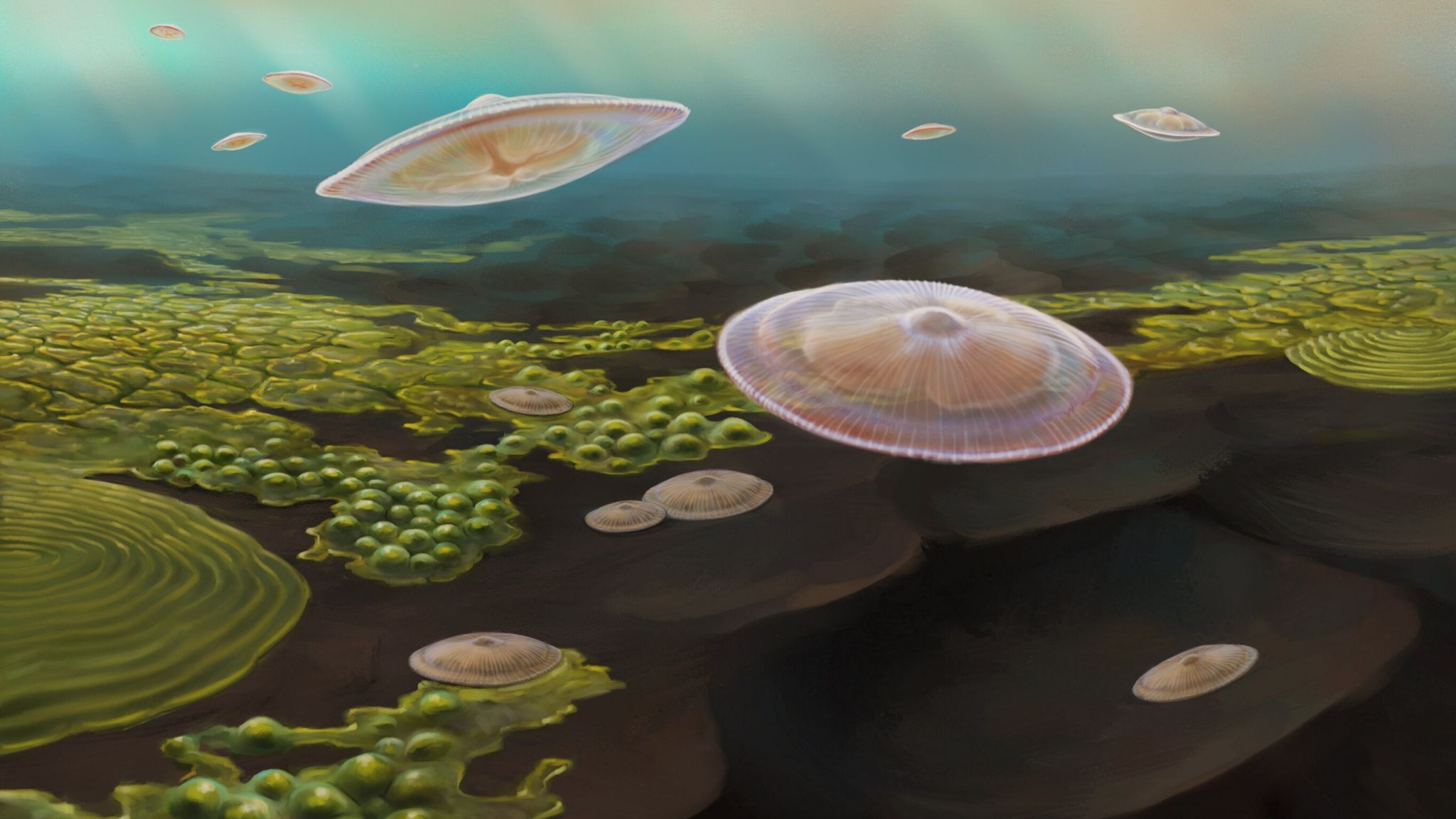 An artists impression of the slime of living organisms which may have existed more than a billion years ago. /Abderrazak El Albani