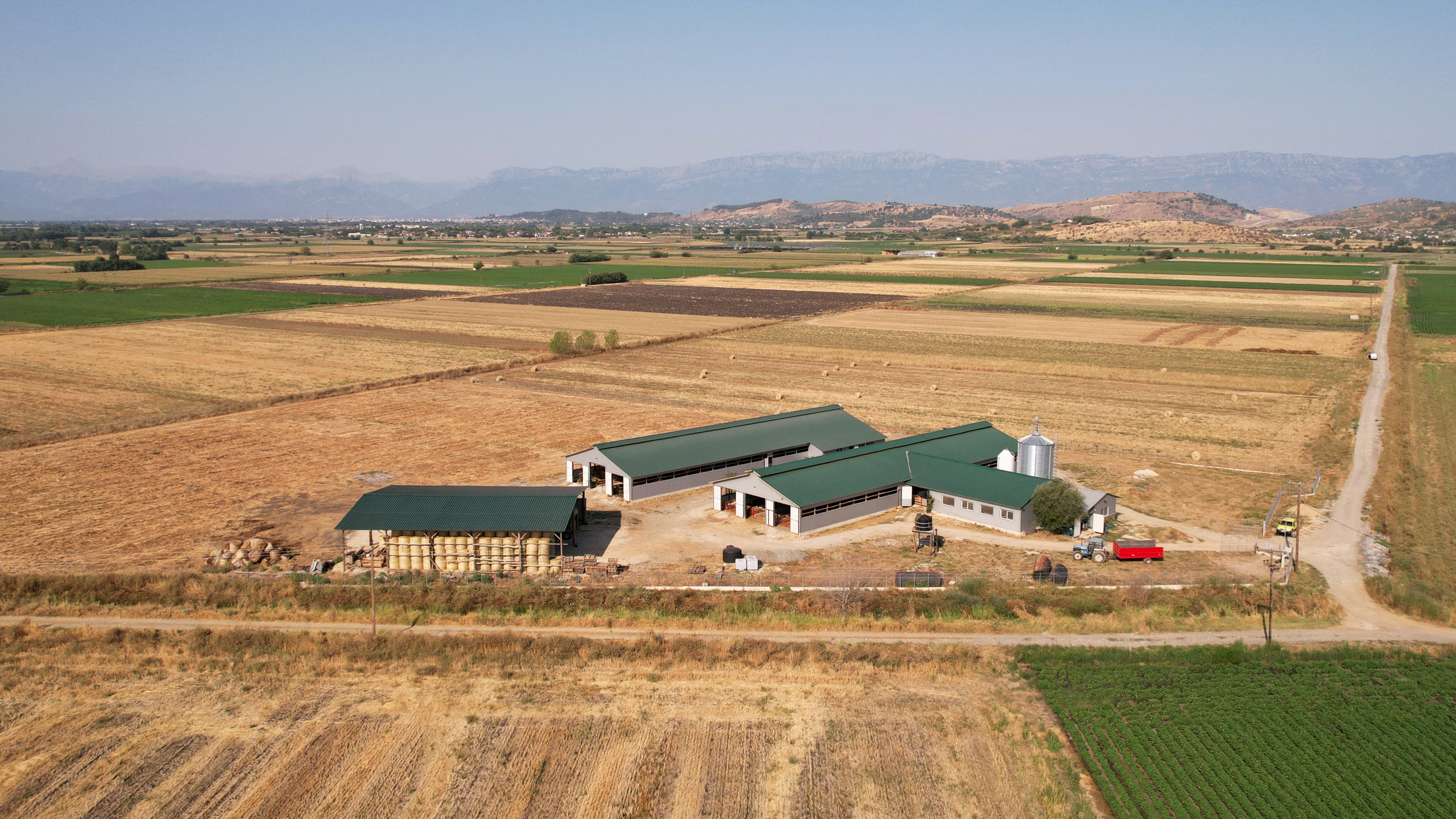 The farm owned by Thanasis Zouzoulas and Ioanna Karra. /Giannis Floulis/Reuters