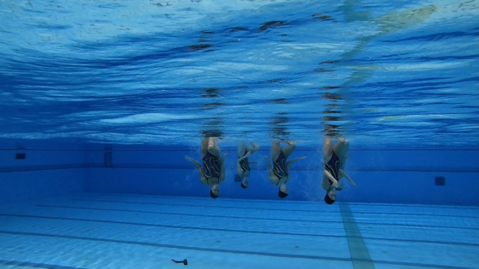 Spain's swimmers train in Barcelona...