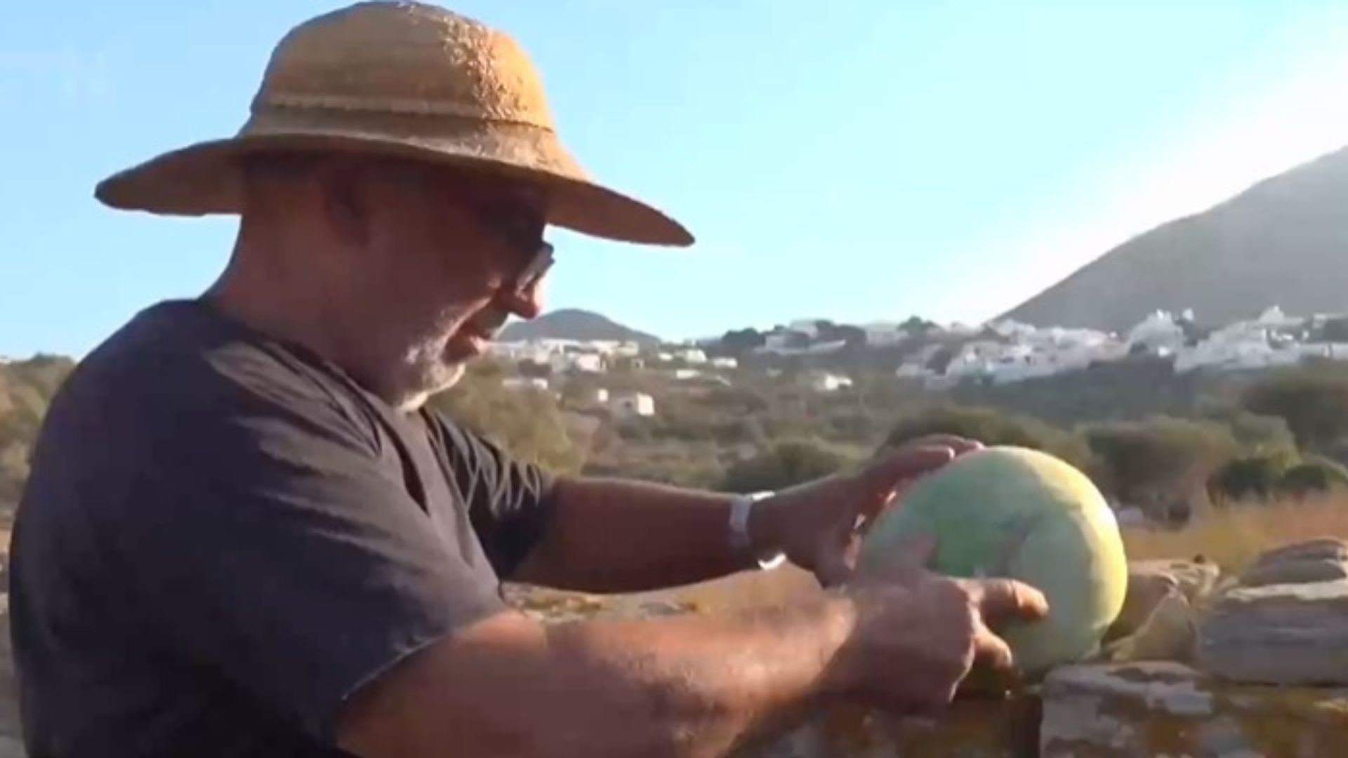 George Narlis's farm looks like a cemetery for fruit and vegetables. /CGTN