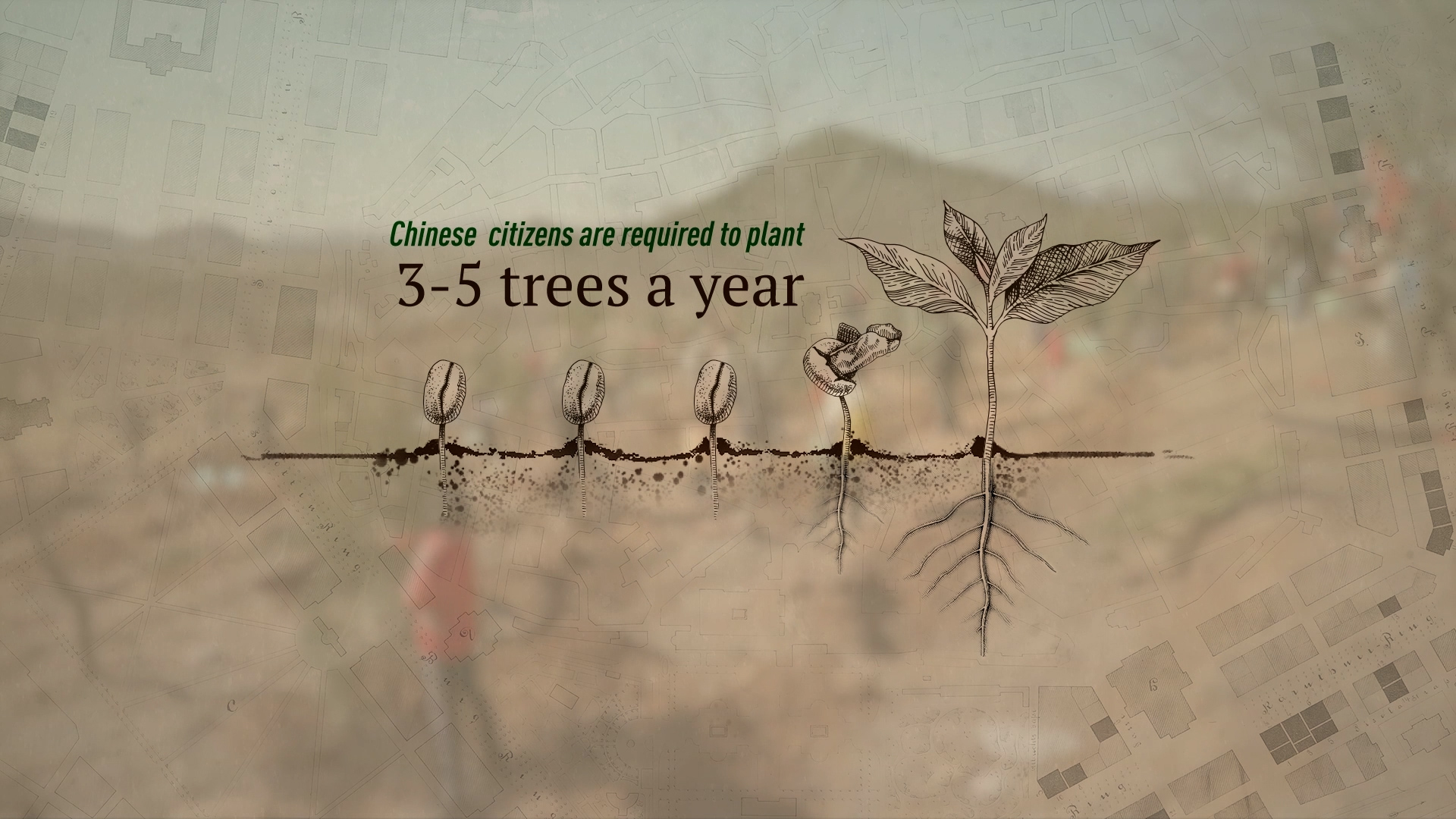 Chinese citizens are required to plant 3-5 trees a year. /CGTN