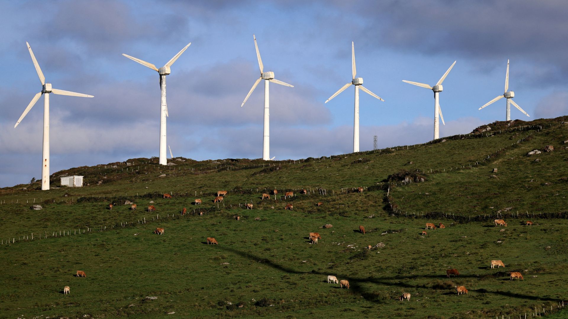 Turbines at a wind farm in the Serra da Capelada, near Ferrol, Galicia, Spain. /Nacho Doce/Reuters