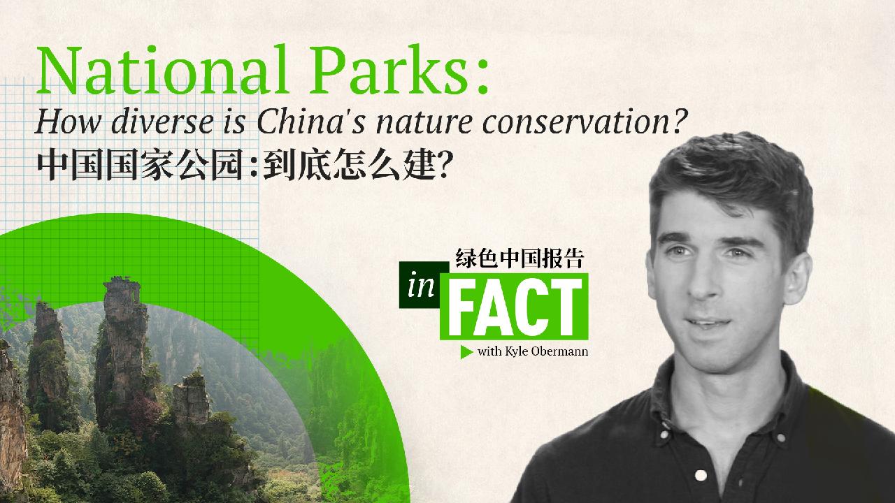 Exploring the Diversity of China's Nature Conservation: An In-depth Analysis