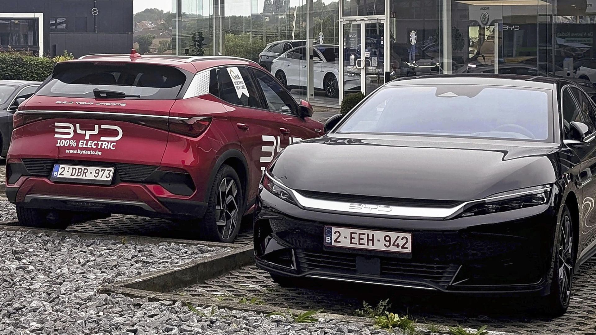 Vehicles displayed at a showroom of Chinese electric vehicle manufacturer BYD in Brussels. /CFP