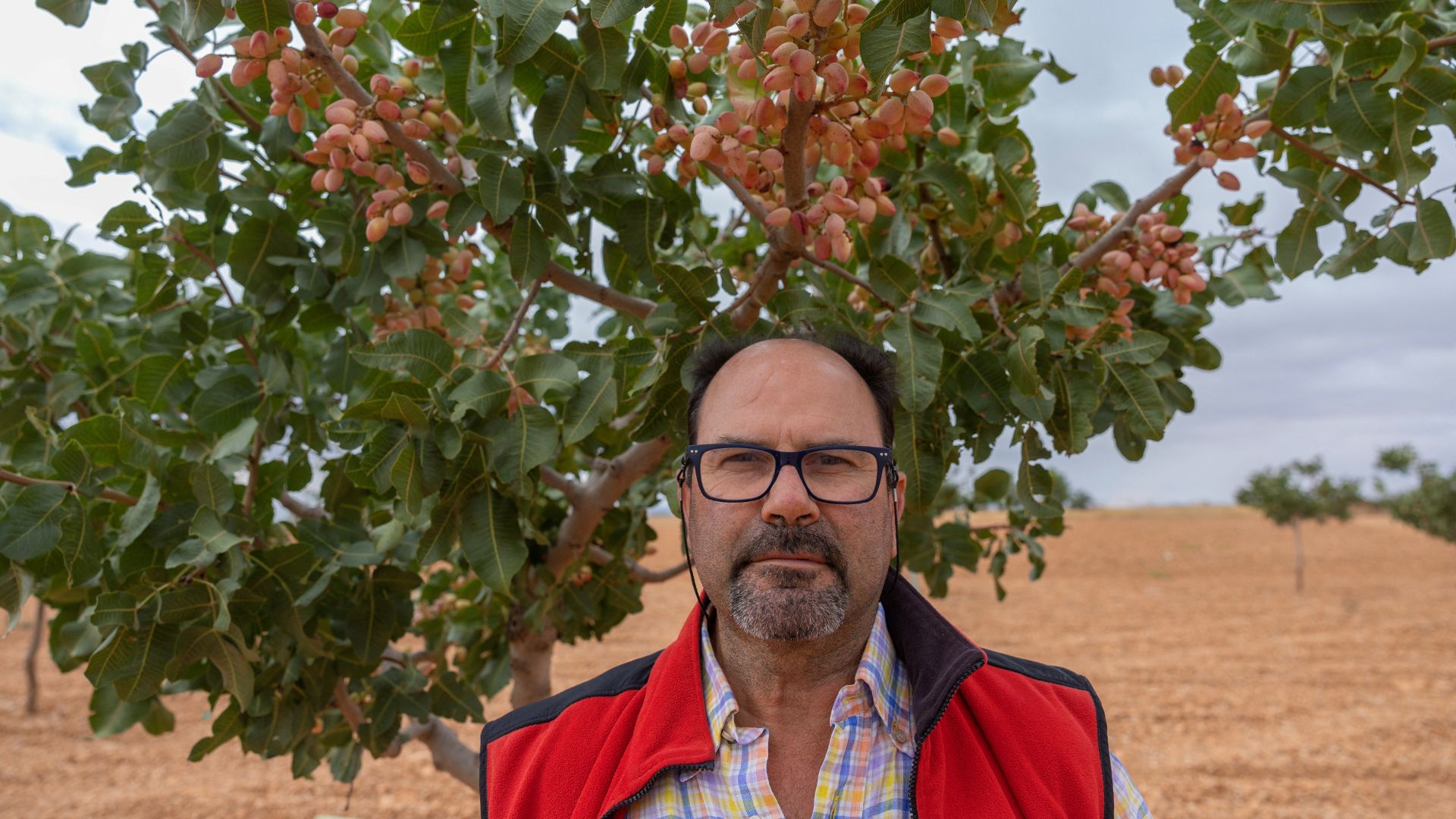 Spanish farmer Miguel Angel Garcia says wine and cereals were no longer viable. /Pierre-Philippe Marcou/AFP