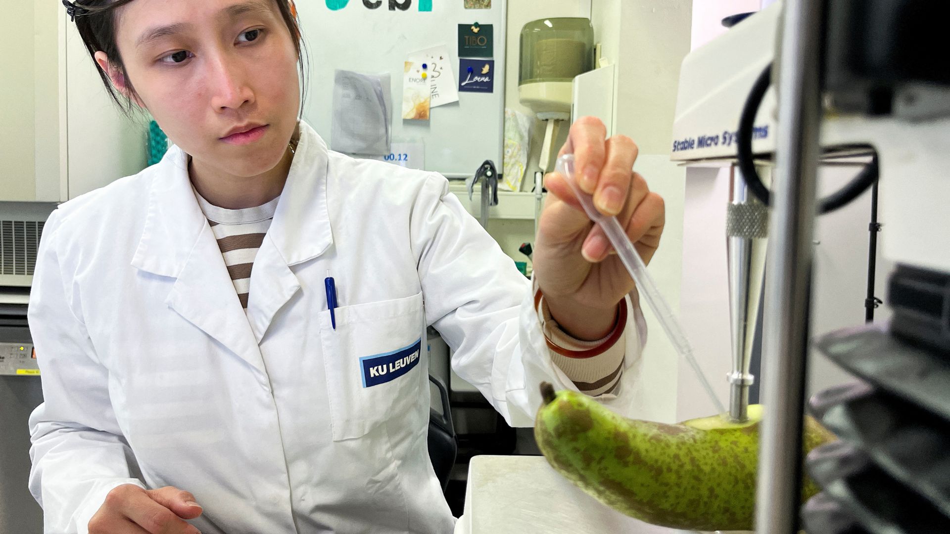 A scientist uses a texture analyser and a refractometer to determine the firmness and sugar content of a pear at the University of Leuven. /Bart Biesemans/Reuters